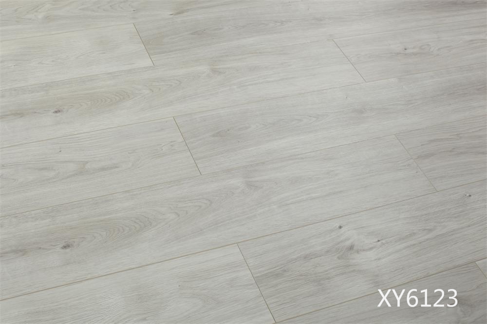 XY6123