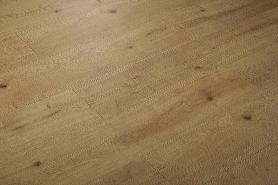 XY8881