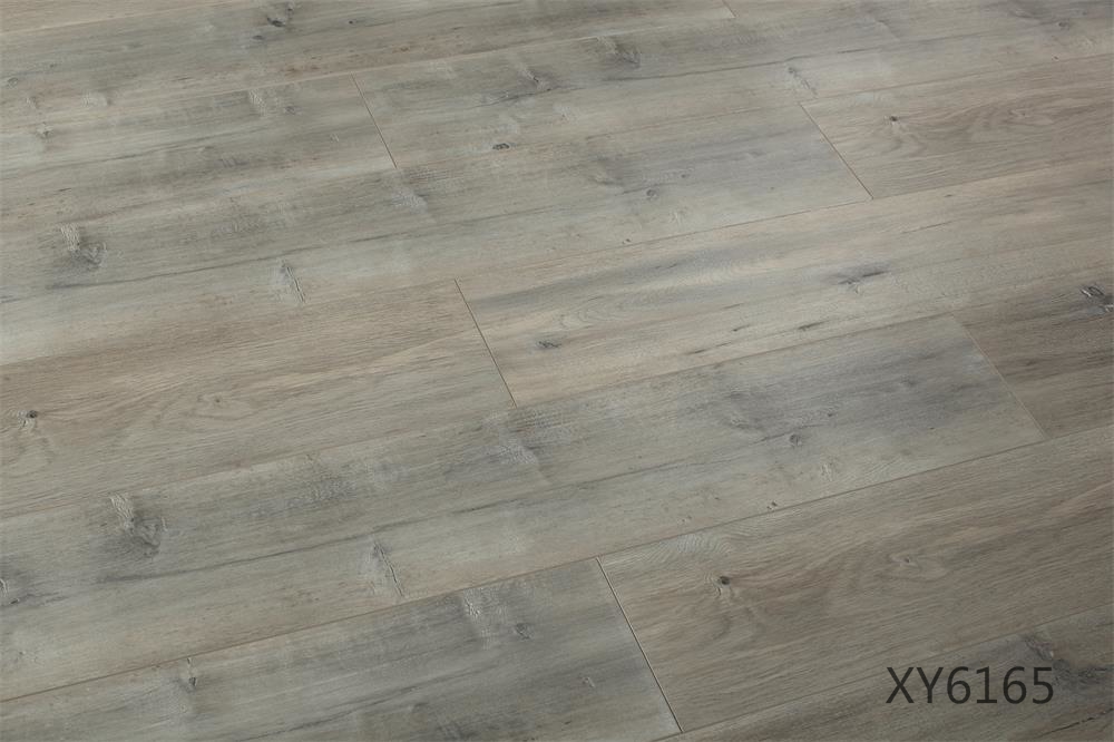 XY6165