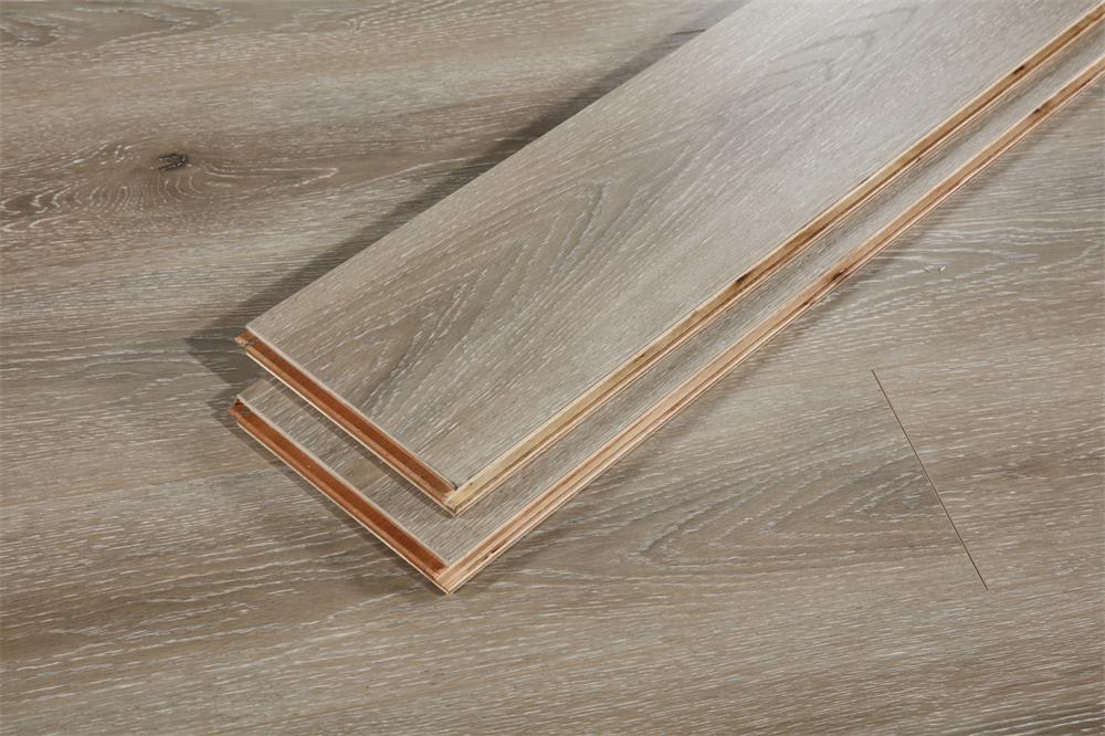 XY004