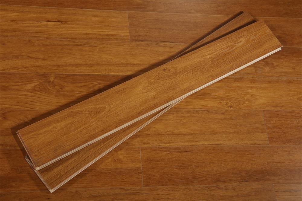 XY005