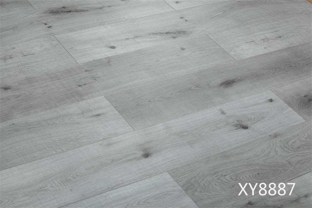 XY8887