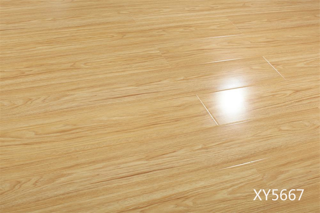 XY5667