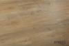 XY6161